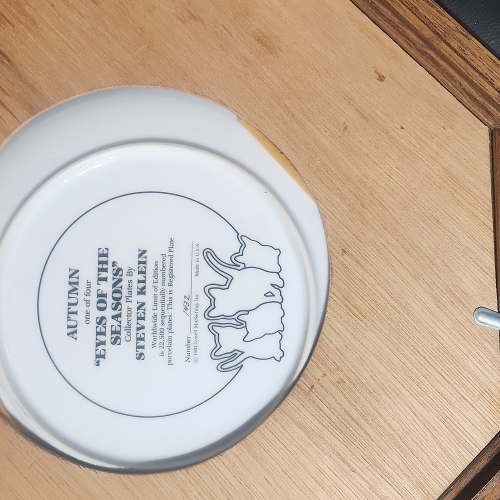 Steven klien collectable plate